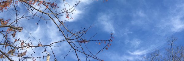 quillwrittn Profile Banner