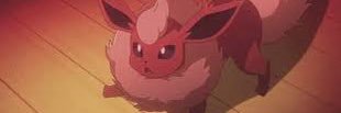 Flareon's banner