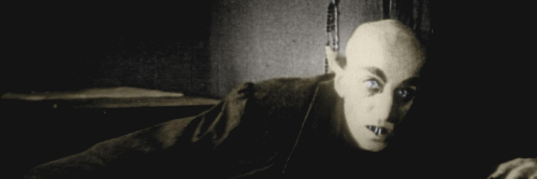Okan banner