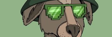 QuinnGabriel12's profile banner image