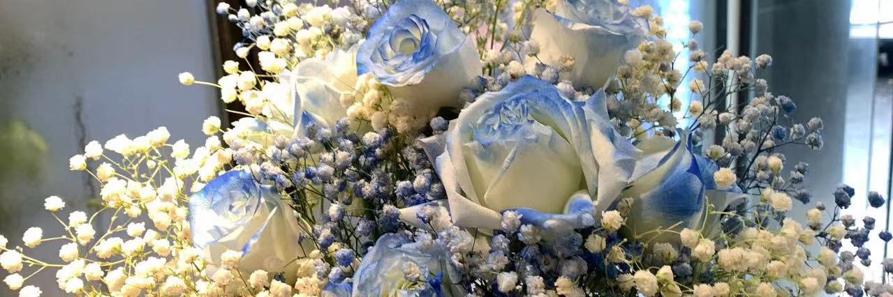 Xeno_icz's profile banner image