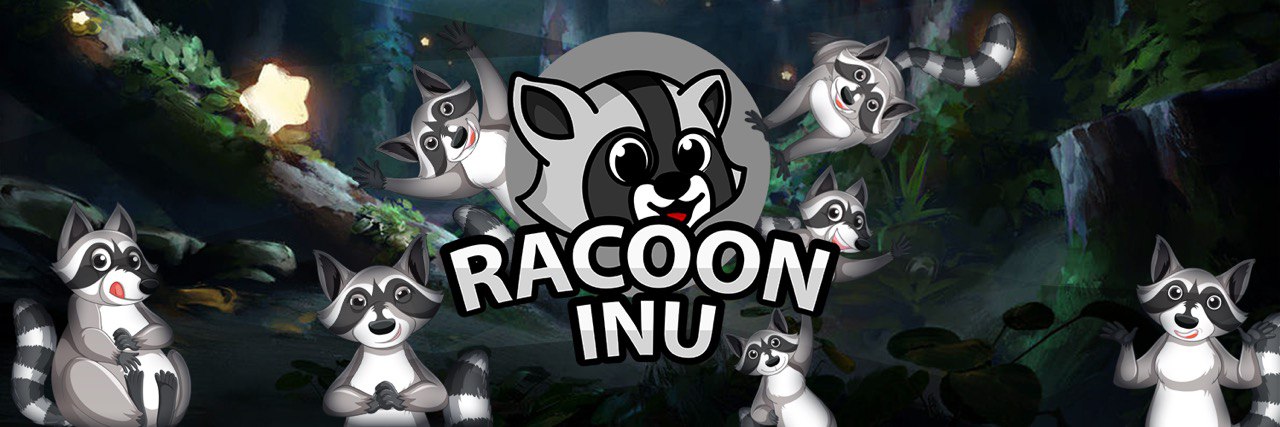 RacoonInu's profile banner image