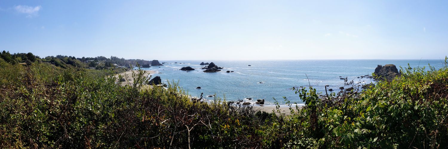 Chris Botterill banner