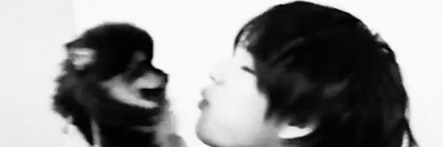 𓆤's banner