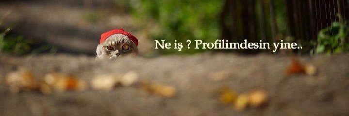 veliserdaray's profile banner image