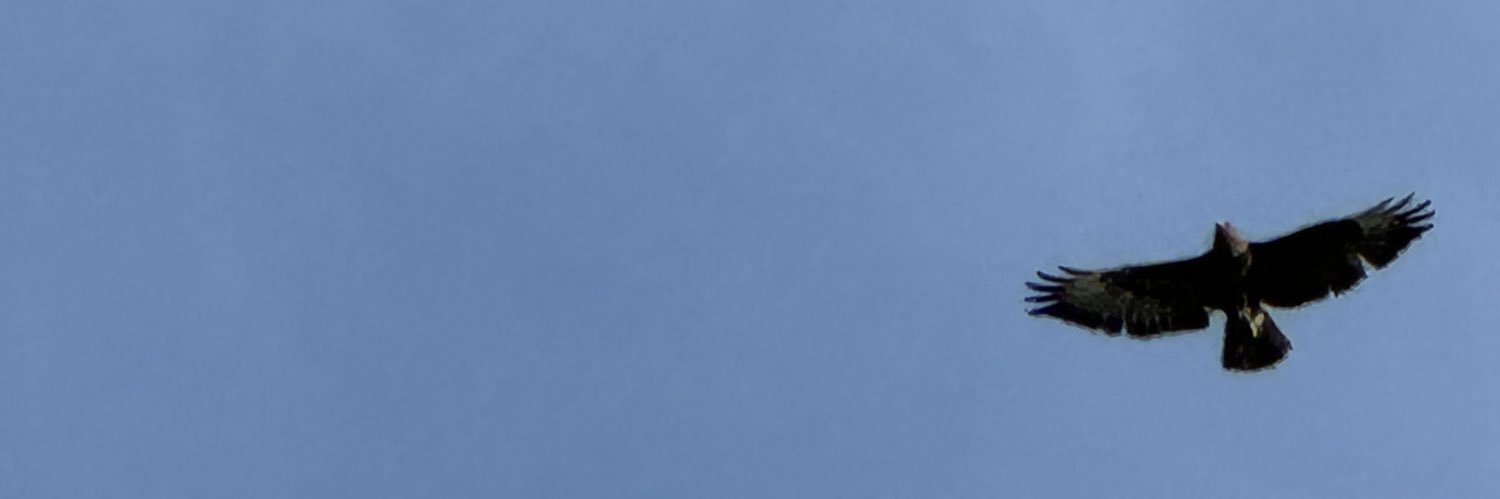 Max banner