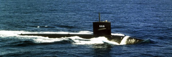 DaTortoise1776 Profile Banner