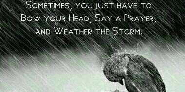 sean mc bride banner