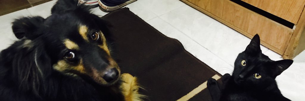Luchiisosa's profile banner image