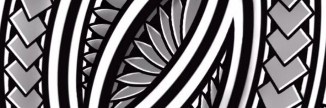 Ale Driga banner