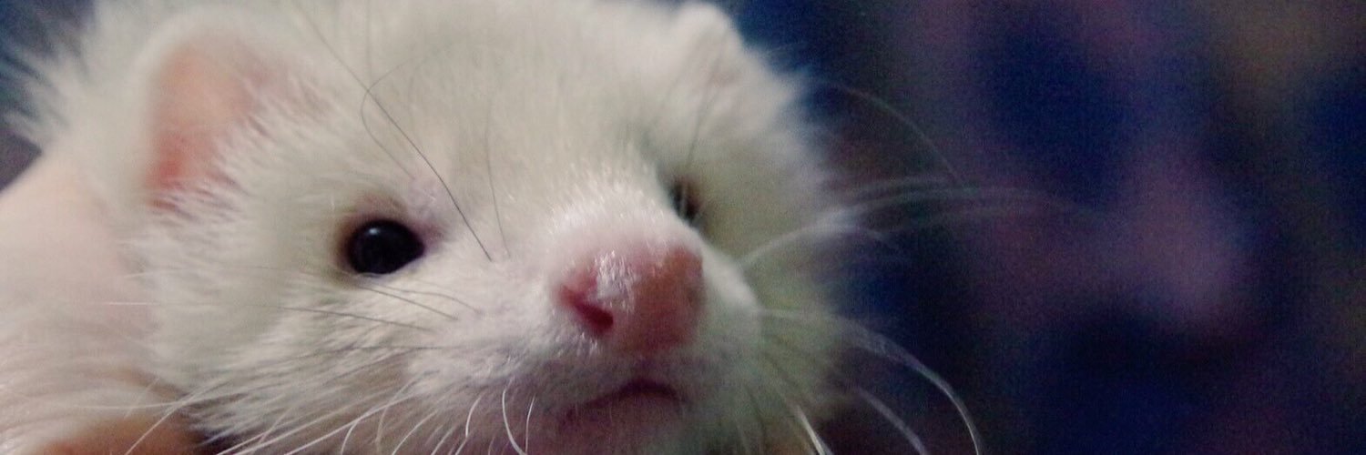 Mynority1995's profile banner image