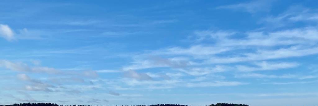 minttuhaikonen's profile banner image