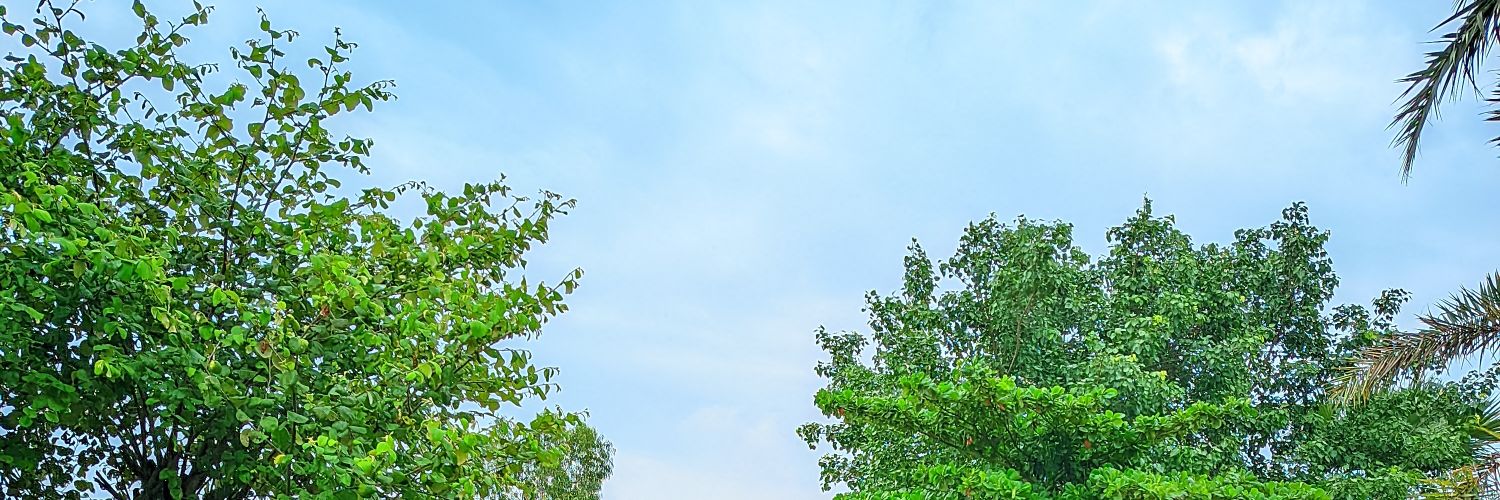 Artogul2003's profile banner image