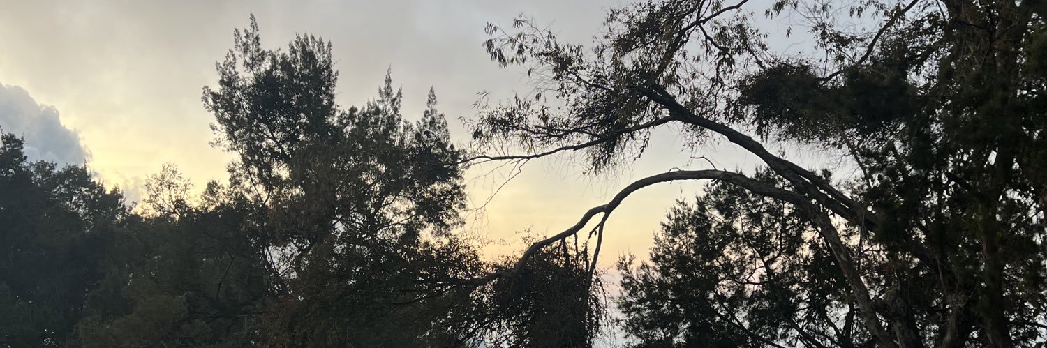 danicachetess's profile banner image