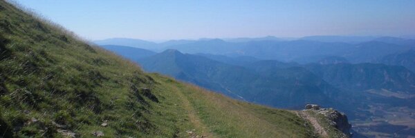 DamL Profile Banner