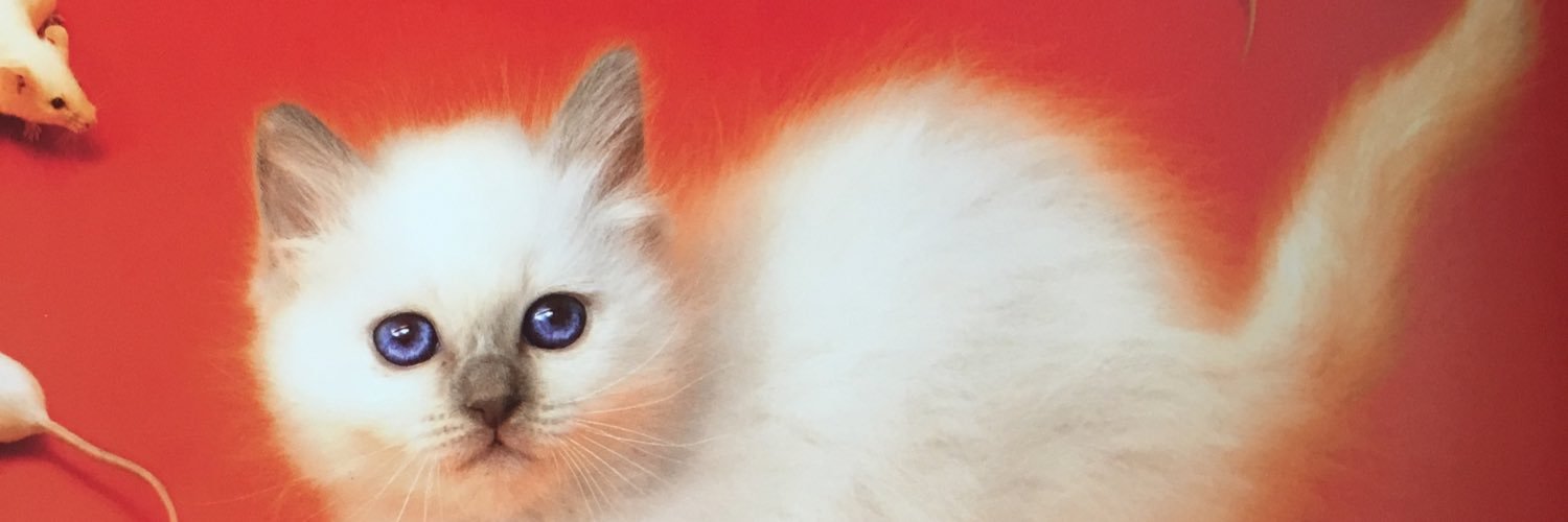 EvaGessel's profile banner image
