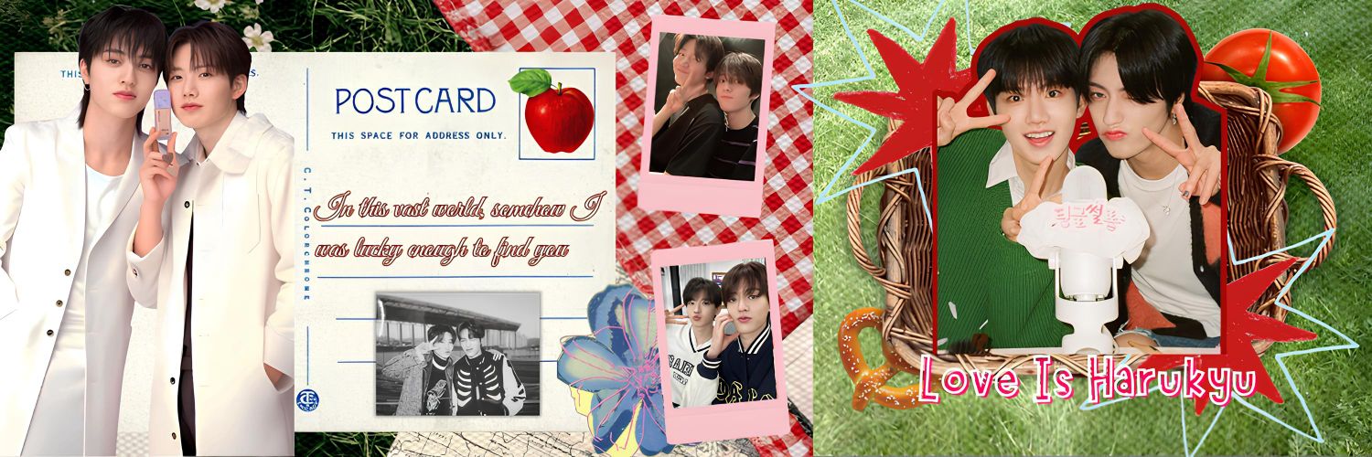 cillaa🐨🦋 banner