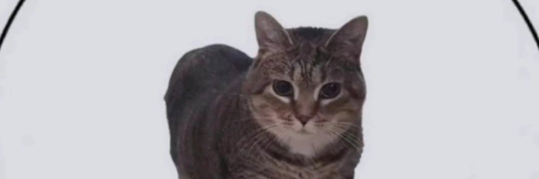 Azalaruk's profile banner image