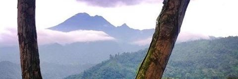 Mayteleal's profile banner image