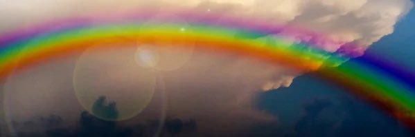 MisterTortue's profile banner image