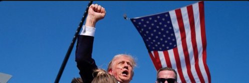 Golden Age Pureblood banner