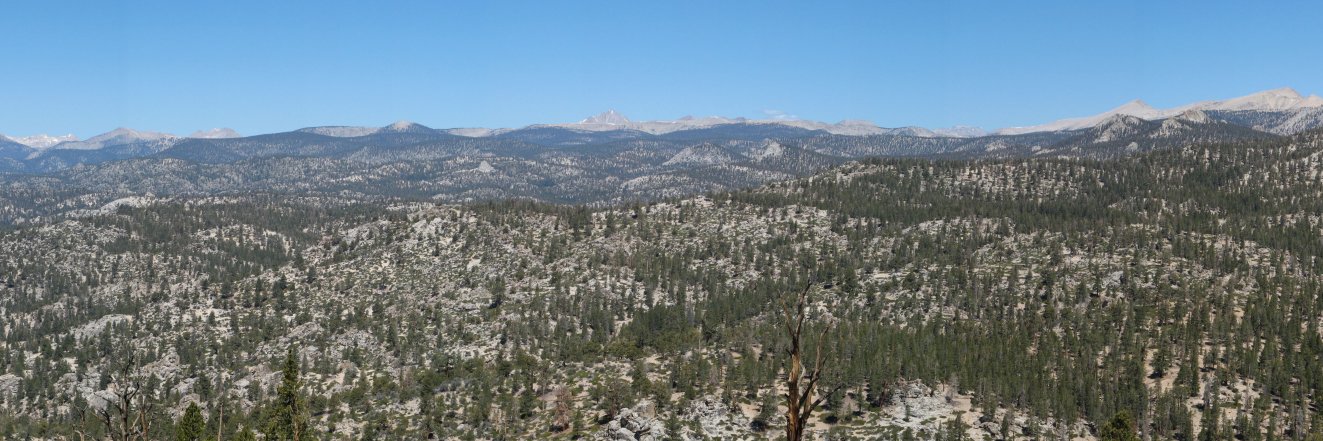 Craig Stanton banner