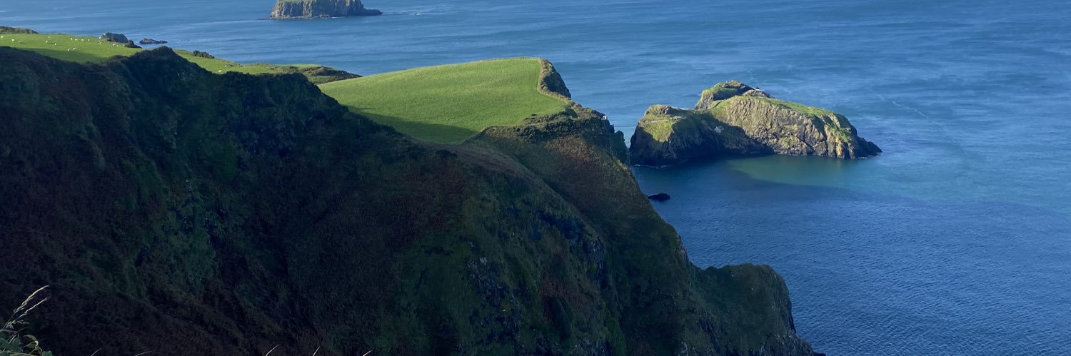 Haley Cavanaugh banner