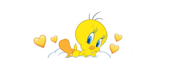 ssfwtsuki Profile Banner