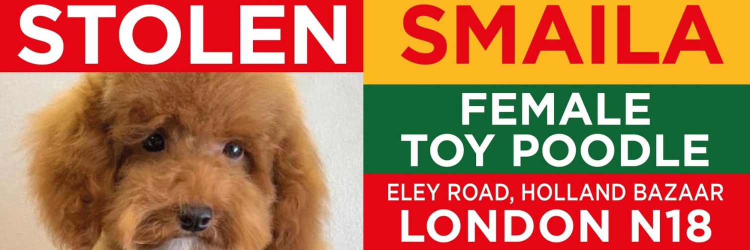 Stolen Smaila Poodle Edmonton N18's banner
