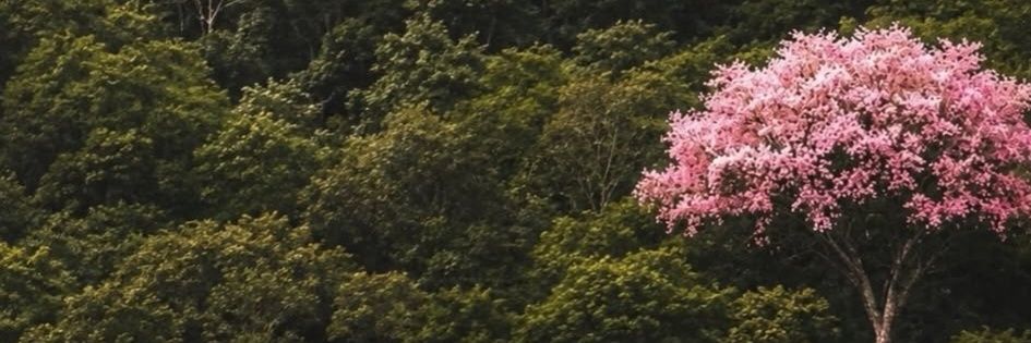 KATTEANE's profile banner image