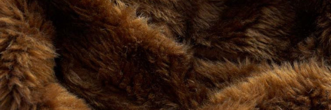 Carlos Casacuberta banner