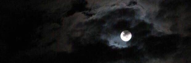 mirkphantom's profile banner image