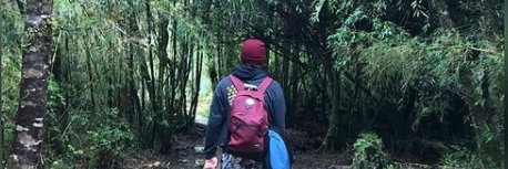 Arthyom98's profile banner image