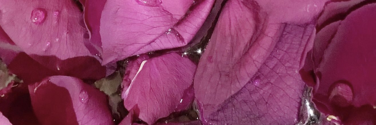݁𓆙.'s banner