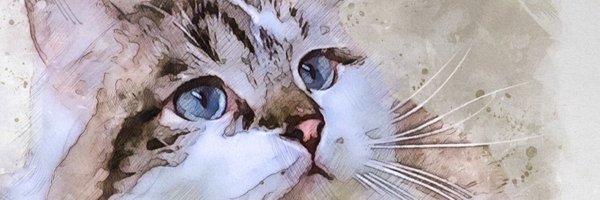 CJB4221 Profile Banner