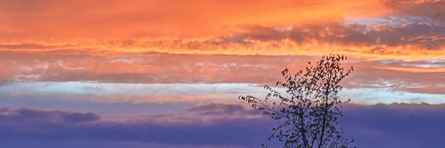 Ripbergie's profile banner image