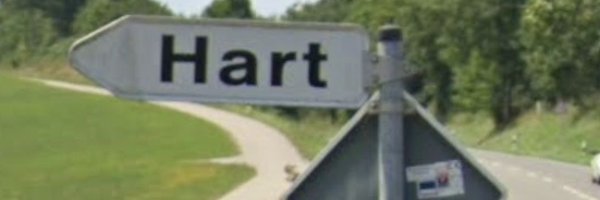 Pferdeglied Profile Banner