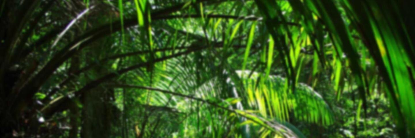 Psyrinix's profile banner image