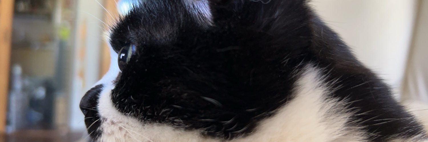 moccori516's profile banner image