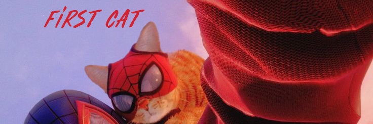 Tomquras banner