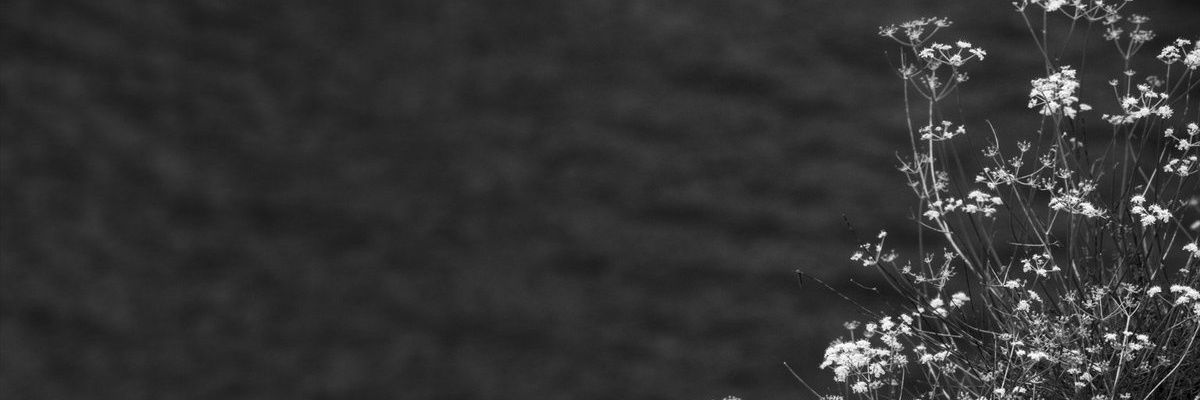 Mraha1446's profile banner image