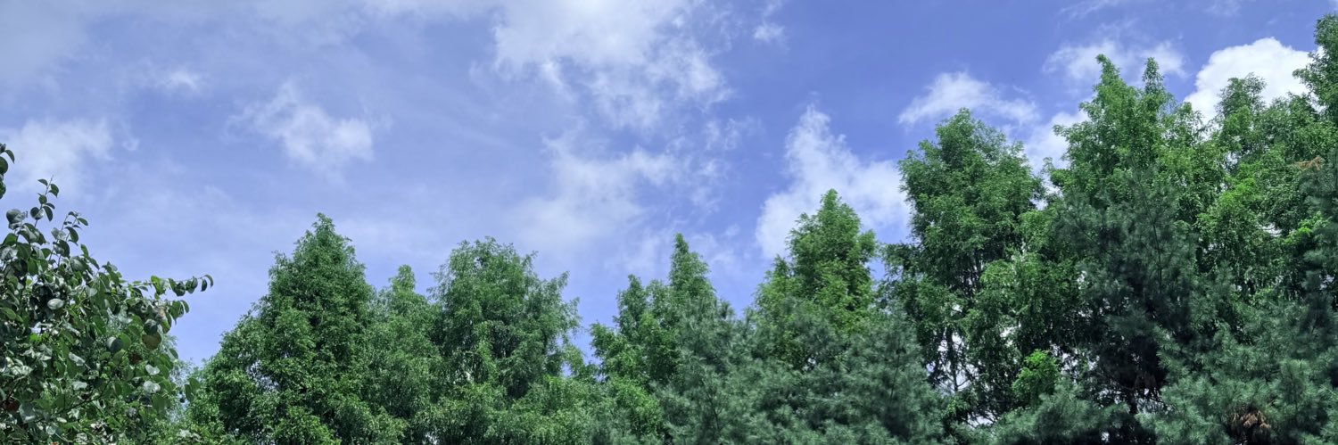 happynysy's profile banner image
