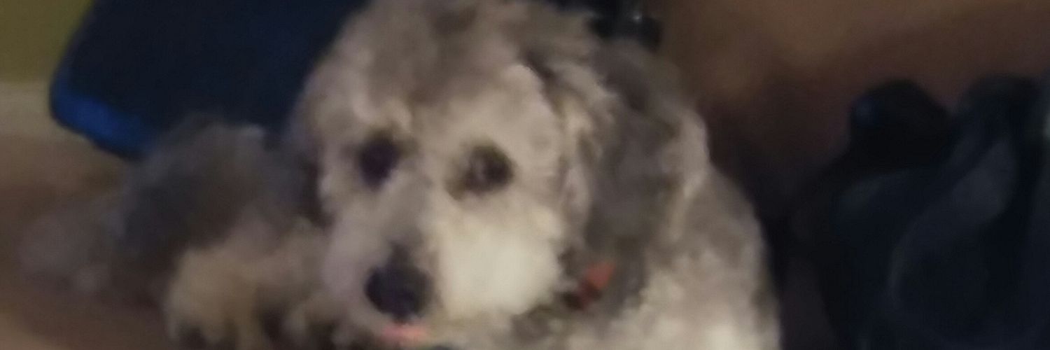 Andy Tobo (not scary) banner