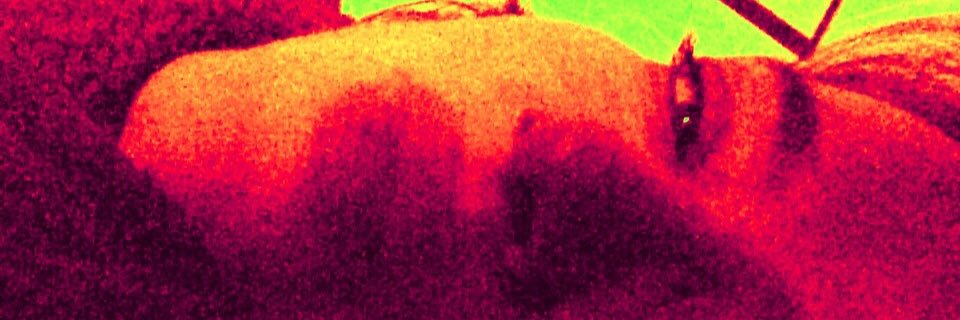 Lia_Mad's profile banner image