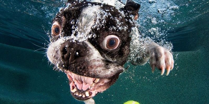 HugoPalma_mx's profile banner image