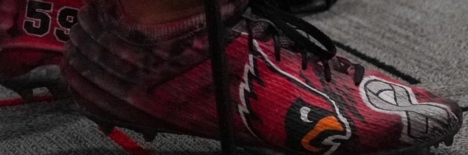 Gavin Drescher banner