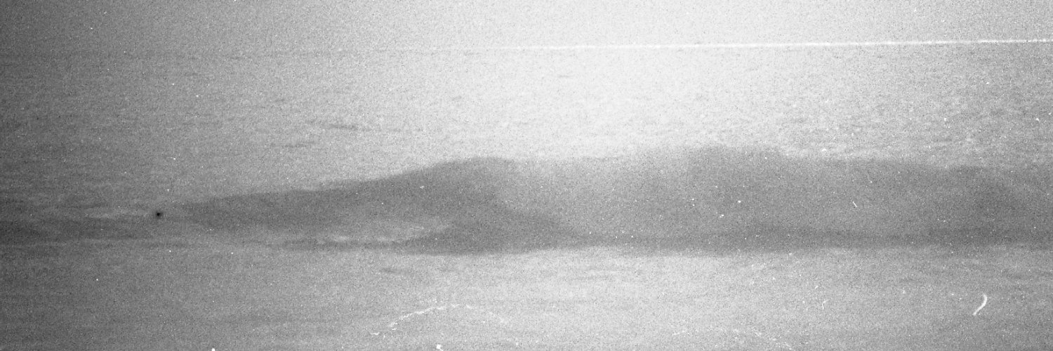 shannon lee byrne banner