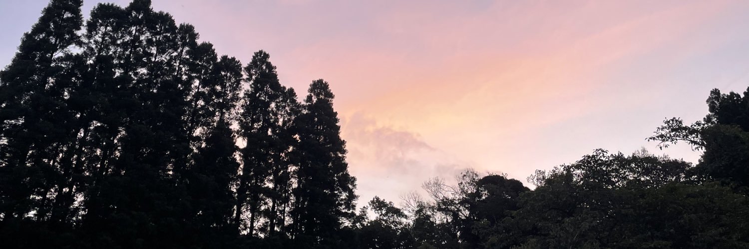 dnbicelink's profile banner image