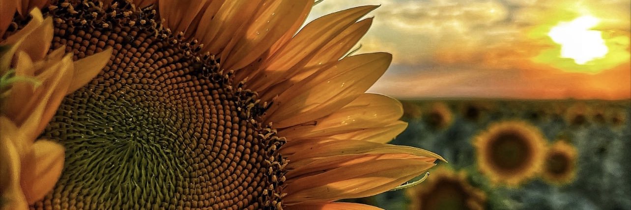 🦋Christine🦋's banner