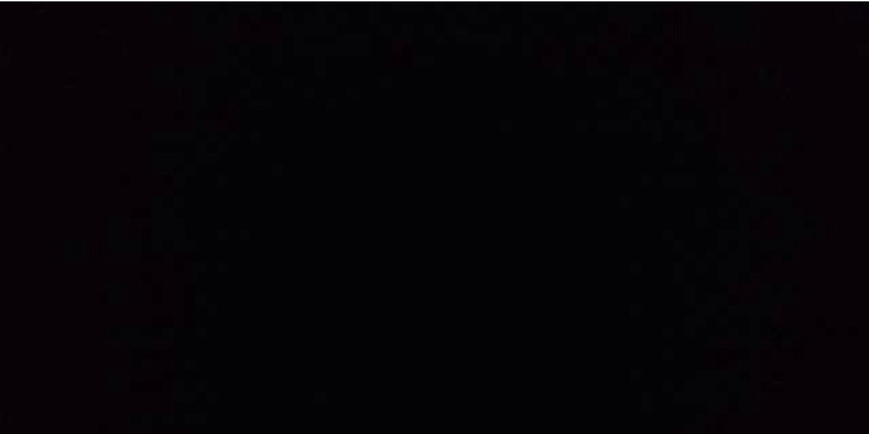 baby squirtle banner